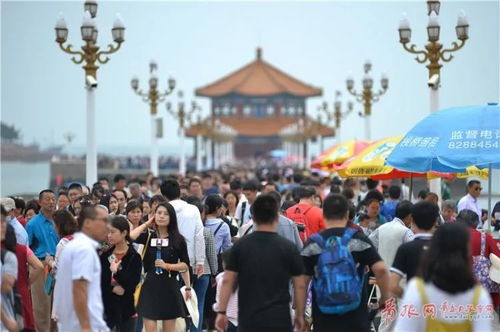 1. 热门排行!人气爆棚的动态旁白游戏TOP10
2. 动态旁白游戏人气王!盘点十大热门排行
3. 玩家最爱!动态旁白游戏人气排行榜前十揭晓
4. 动态旁白游戏人气巅峰!十大热门榜单大揭秘
5. 人气飙升!动态旁白游戏排行榜前十必玩
6. 热门动态旁白游戏盘点!人气排行TOP10推荐
7. 动态旁白游戏人气狂飙!十大热门排行抢先看
8. 玩家热议!动态旁白游戏人气排行榜前十曝光
9. 动态旁白游戏人气之选!十大热门排行推荐
10. 人气炸裂!动态旁白游戏排行榜前十必玩清单 1. 热门排行!人气爆棚的动态旁白游戏TOP10
2. 动态旁白游戏人气王!盘点十大热门排行
3. 玩家最爱!动态旁白游戏人气排行榜前十揭晓
4. 动态旁白游戏人气巅峰!十大热门榜单大揭秘
5. 人气飙升!动态旁白游戏排行榜前十必玩
6. 热门动态旁白游戏盘点!人气排行TOP10推荐
7. 动态旁白游戏人气狂飙!十大热门排行抢先看
8. 玩家热议!动态旁白游戏人气排行榜前十曝光
9. 动态旁白游戏人气之选!十大热门排行推荐
10. 人气炸裂!动态旁白游戏排行榜前十必玩清单