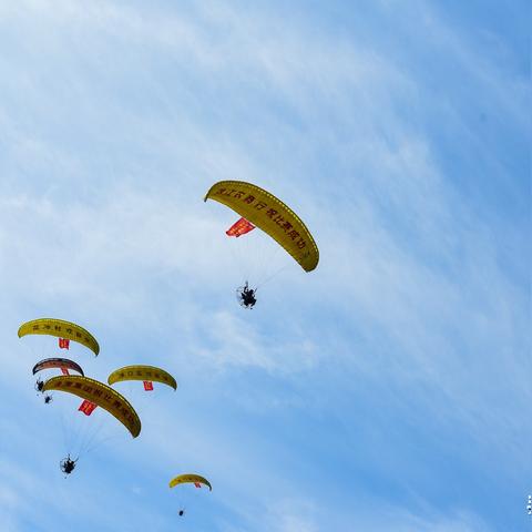 《热门飞行游戏盘点:盘点那些让人上瘾的飞行盛宴》 《热门飞行游戏盘点:盘点那些让人上瘾的飞行盛宴》