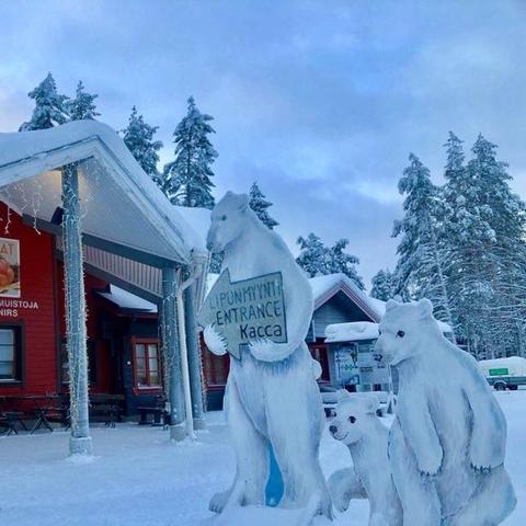 《马背驰骋：盘点热门马匹游戏，哪款是你的心头好？》