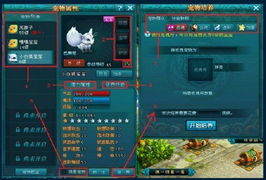 《打野归来速成秘籍:新手快速升级攻略》 《打野归来速成秘籍:新手快速升级攻略》