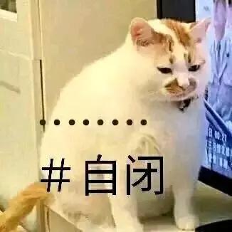 篮球经理新手逆袭攻略:15联霸主之路揭秘 篮球经理新手逆袭攻略:15联霸主之路揭秘