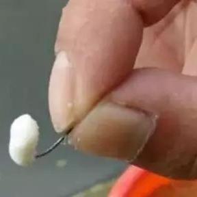 幻塔酱菌蜂蜜面包制作攻略：独家秘籍大公开