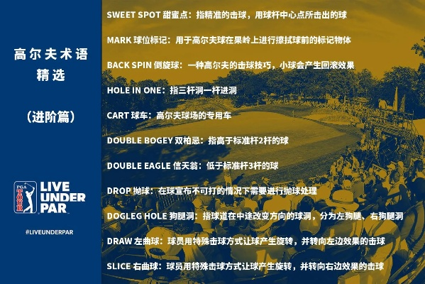 《十大高尔夫游戏盘点：最好玩的高尔夫游戏推荐》
