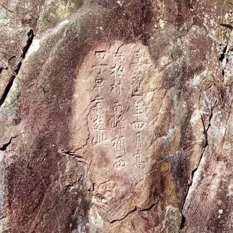 《四人群玩必备!盘点十大经典本地游戏排行》 《四人群玩必备!盘点十大经典本地游戏排行》