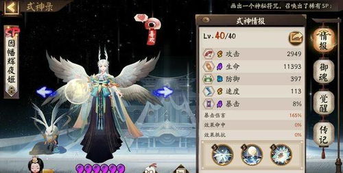 阴阳师SP缘技能深度揭秘:独家解析! 阴阳师SP缘技能深度揭秘:独家解析!