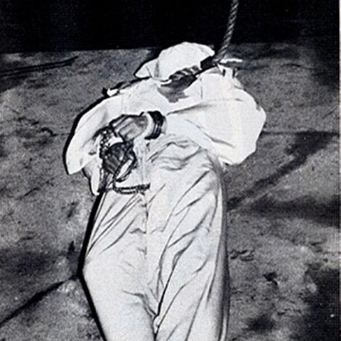 《揭秘十大经典多结局游戏：每一款都值得珍藏》