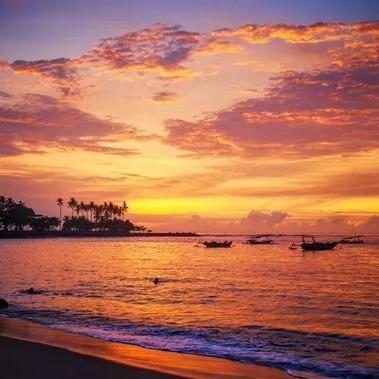 《光遇遮阳伞价格揭秘：玩家必备神器，性价比解析》