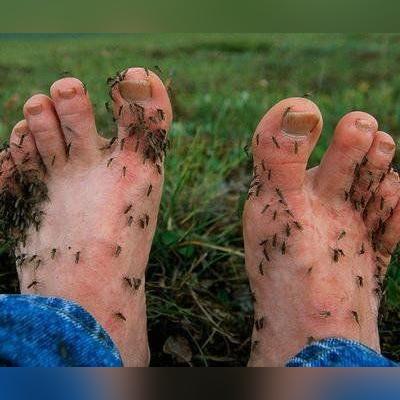 《热门永久死亡游戏盘点:下载狂潮中的精选推荐》 《热门永久死亡游戏盘点:下载狂潮中的精选推荐》