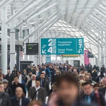 经济游戏盘点:十大热门必玩经济策略游戏推荐 经济游戏盘点:十大热门必玩经济策略游戏推荐