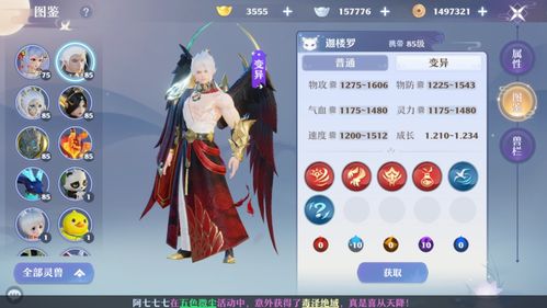 梦幻新诛仙战斧牛魔洗髓攻略：高效提升宠物实力