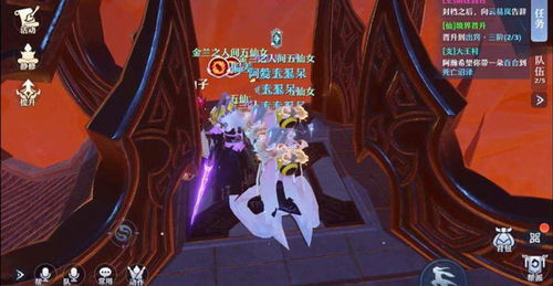 梦幻新诛仙战斧牛魔洗髓攻略：高效提升宠物实力