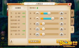 梦幻新诛仙龙将军加点攻略：高效提升战力秘籍