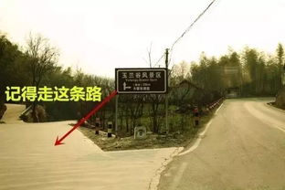 《光遇暴风眼石头桥精准位置揭秘》 《光遇暴风眼石头桥精准位置揭秘》