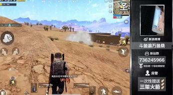 《金铲铲双排攻略：高效技巧助你称霸战场》