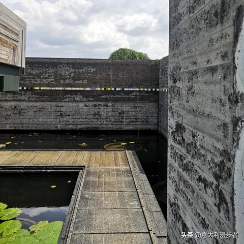 《光遇锦鲤池冥想位置揭秘：探寻神秘之地》