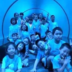 《Summer爱第二章攻略：轻松通关秘籍大揭秘》