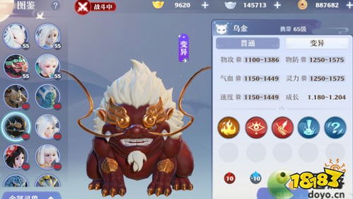 梦幻新诛仙龙将军培养攻略:高效提升方法揭秘 梦幻新诛仙龙将军培养攻略:高效提升方法揭秘