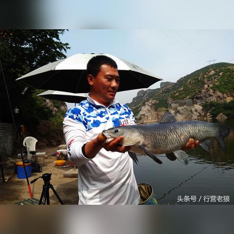 《钓鱼游戏盘点：最新热门下载推荐》
《独家盘点！钓鱼游戏新潮流下载指南》
《钓鱼控必看：盘点最新热门游戏下载》
《钓鱼游戏下载必看！盘点最新热门榜单》
《盘点新锐！钓鱼游戏下载推荐大盘点》