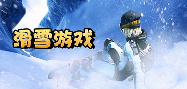 《冬日狂欢！盘点十大热门雪游戏，你玩过哪些？》