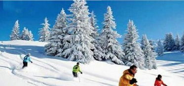 《冬日狂欢！盘点十大热门雪游戏，你玩过哪些？》