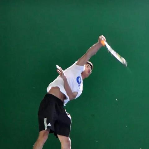 《热门下载！盘点最受欢迎的网球游戏TOP10》
《下载狂潮！必玩网球游戏排行榜揭晓》
《网球游戏爱好者必看！下载量最高的十大游戏》
《爆款网球游戏大盘点：下载量最高的热门选择》
《下载量飙升！盘点最受欢迎网球游戏榜单》