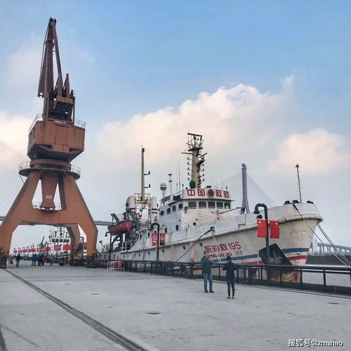 《2024年度必玩回合制策略游戏盘点》 《2024年度必玩回合制策略游戏盘点》