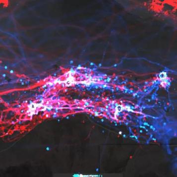 热力榜单：盘点当前最受欢迎的2D平台游戏精选！