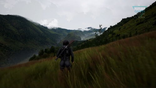 《热门选择取向游戏盘点：解锁你的个性选择冒险》