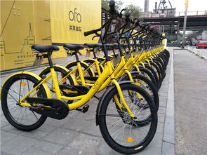 单车游戏盘点:十大耐玩单车排行,畅玩不设限! 单车游戏盘点:十大耐玩单车排行,畅玩不设限!