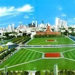 《畅快翱翔!精选热门飞行射击游戏大盘点》 《畅快翱翔!精选热门飞行射击游戏大盘点》