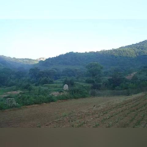 农场管理游戏盘点：最新排行榜，热门农场游戏一网打尽