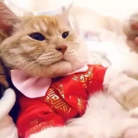 《光夜红包速领指南:独家攻略助你轻松抢》 《光夜红包速领指南:独家攻略助你轻松抢》