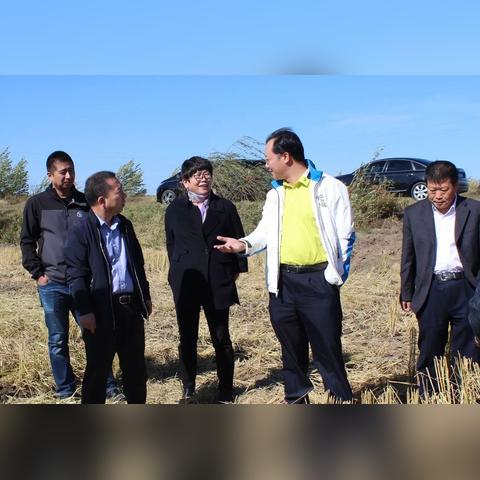 农场管理游戏人气排行:十大热门必玩游戏推荐 农场管理游戏人气排行:十大热门必玩游戏推荐