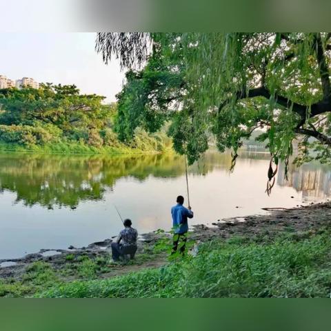 仙剑奇侠传钓鱼秘籍大揭秘!高效捕鱼攻略全收录 仙剑奇侠传钓鱼秘籍大揭秘!高效捕鱼攻略全收录