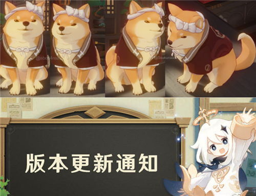 摩尔庄园手游：速来！卡斯消息速递，独家攻略揭秘