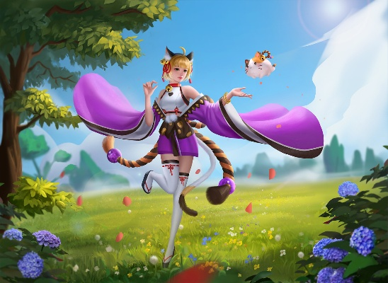 《猫灵相册琉璃攻略：培养喜好高效指南》