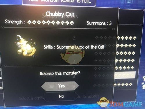 《猫灵相册高效升级法：揭秘快速突破技巧》