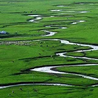 《光遇百鸟城快速导航:独家进入攻略揭秘》 《光遇百鸟城快速导航:独家进入攻略揭秘》
