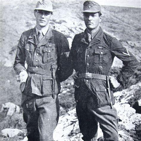 《摩尔庄园记者伪装秘籍：轻松完成任务攻略》