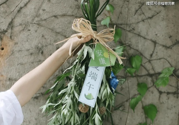 端午悬艾草攻略：烟雨江湖独家悬艾技巧揭秘