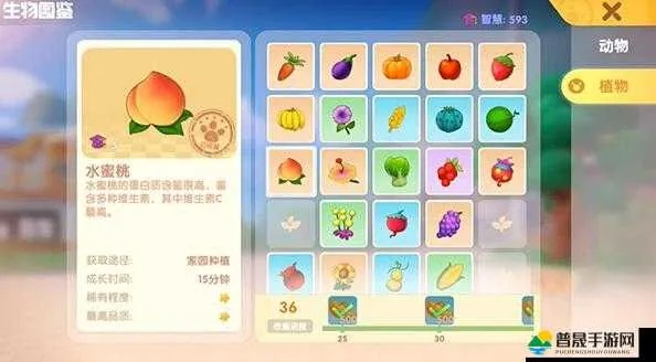 摩尔庄园手游摇钱树：盘点超值产出物品攻略