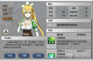 《刀剑神域黑衣剑士宝箱全位置揭秘！》