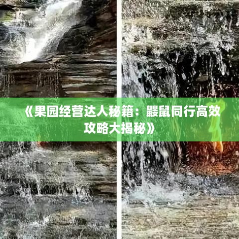《果园经营达人秘籍：鼹鼠同行高效攻略大揭秘》