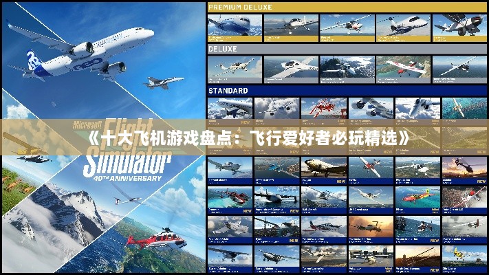 《十大飞机游戏盘点：飞行爱好者必玩精选》