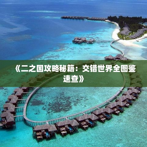 《二之国攻略秘籍：交错世界全图鉴速查》