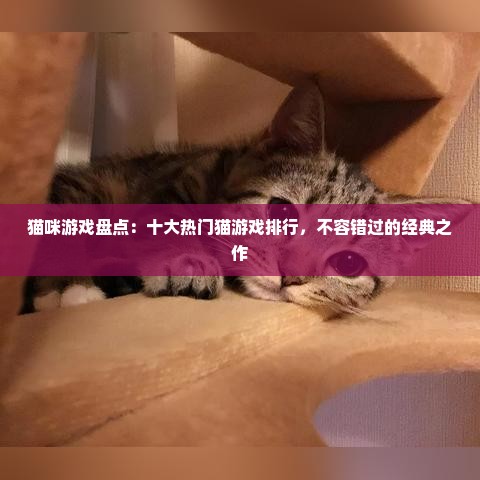 猫咪游戏盘点:十大热门猫游戏排行,不容错过的经典之作 猫咪游戏盘点:十大热门猫游戏排行,不容错过的经典之作