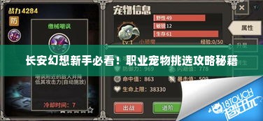长安幻想新手必看!职业宠物挑选攻略秘籍 长安幻想新手必看!职业宠物挑选攻略秘籍