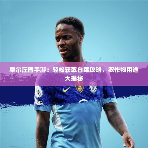 摩尔庄园手游:轻松获取白菜攻略,农作物用途大揭秘 摩尔庄园手游:轻松获取白菜攻略,农作物用途大揭秘