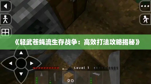 《轻武苍蝇流生存战争：高效打法攻略揭秘》