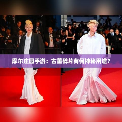 摩尔庄园手游：古董碎片有何神秘用途？